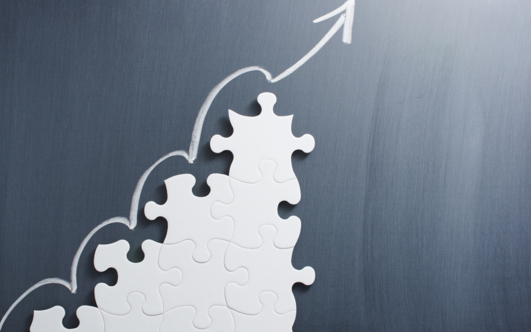 Tech Plan for Business Growth Roadmap